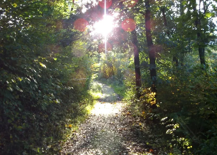 Pensionat Haus Seidenweber 3*